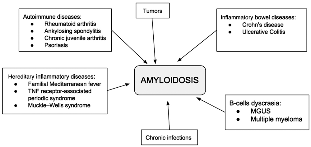 GLOBAL LONGITUDINAL STRAIN IS PROGNOSTIC IN LIGHT CHAIN AND TRANSTHYRETIN  CARDIAC AMYLOIDOSIS WHILE THE APICAL SPARING RATIO OF LONGITUDINAL STRAIN  IS NOT